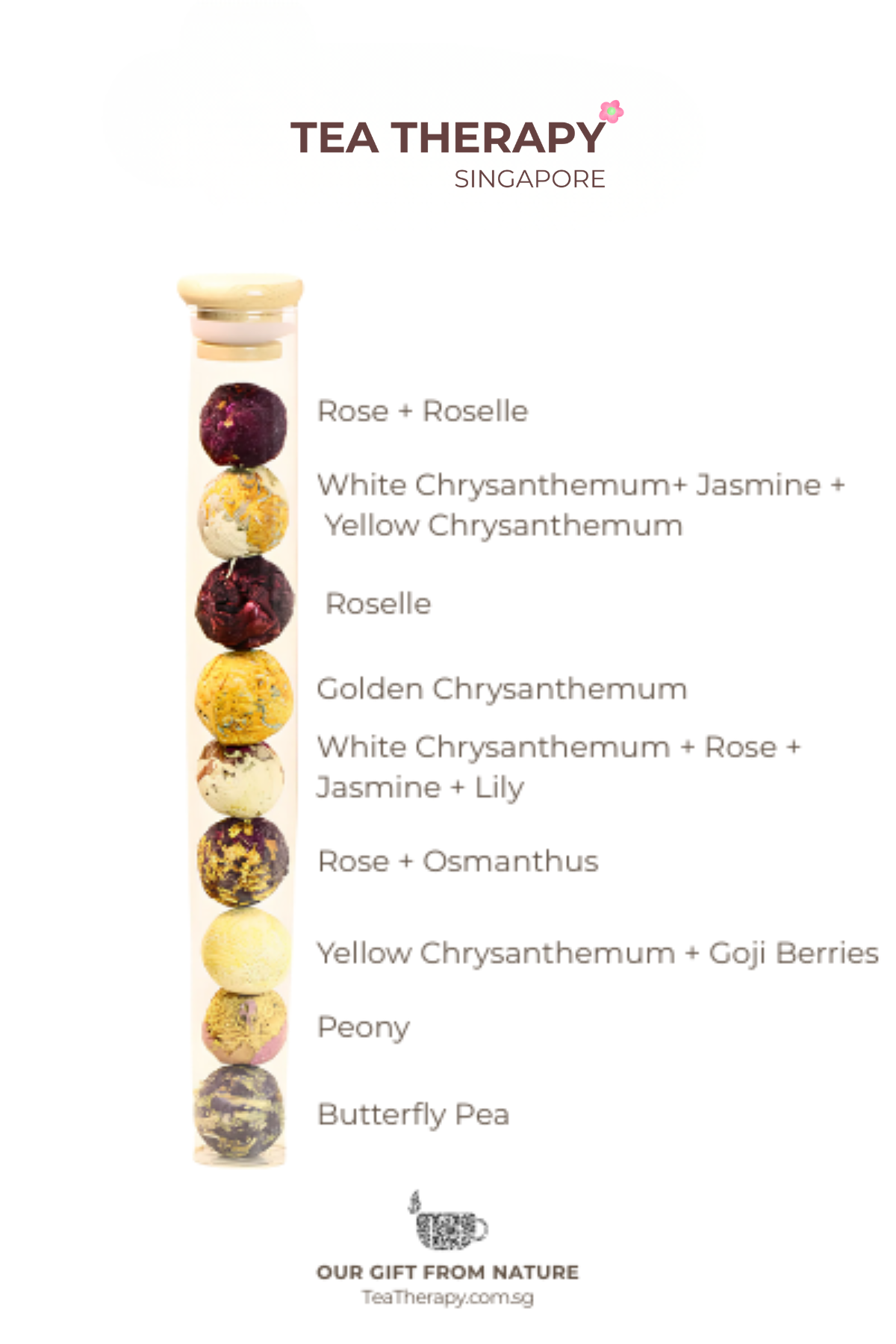PHOTO WEBSITE BOTANICAL CHARM (19)