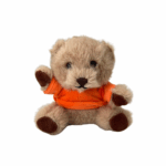 Teddy bear