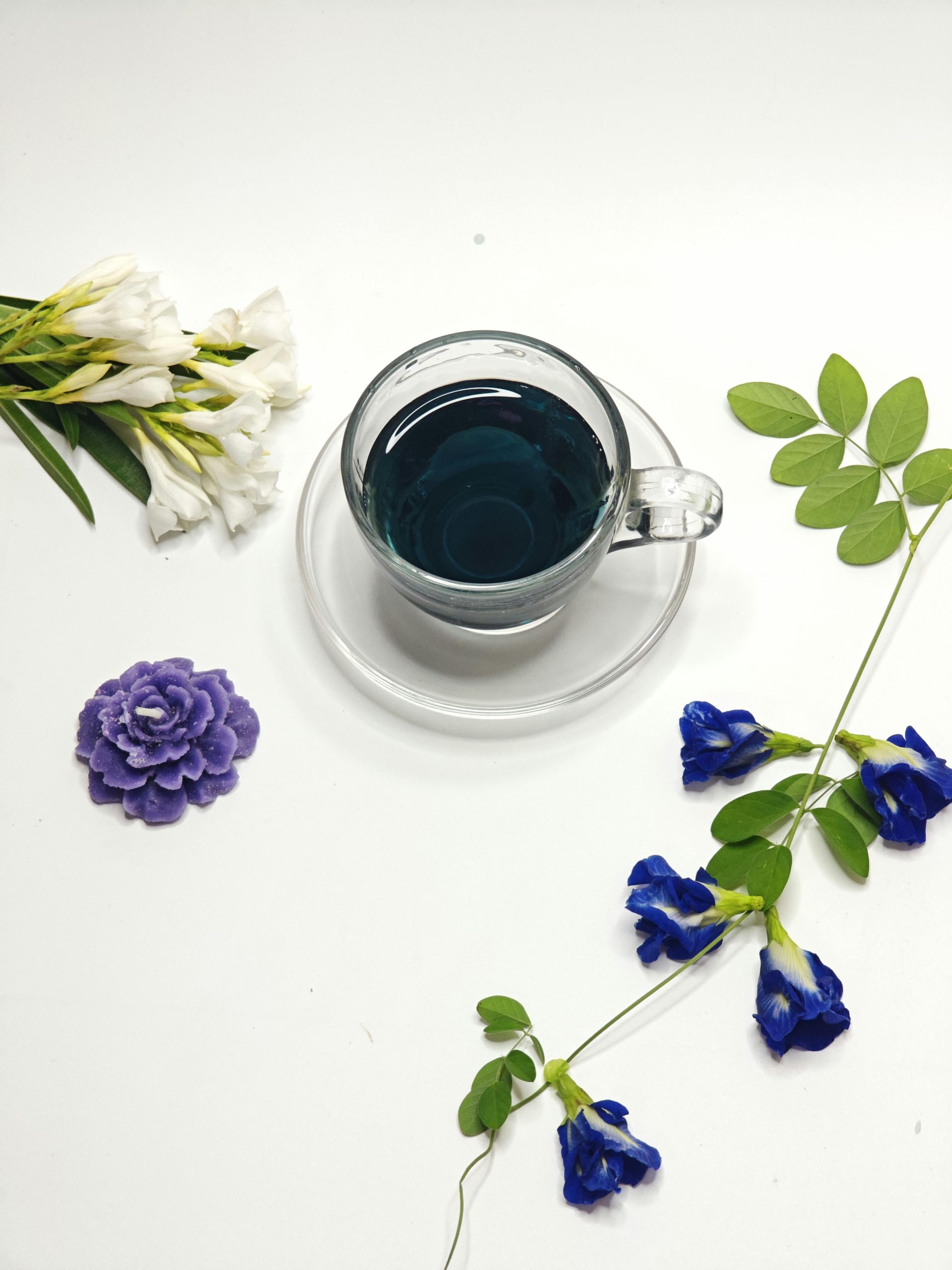 Butterfly Pea Tea
