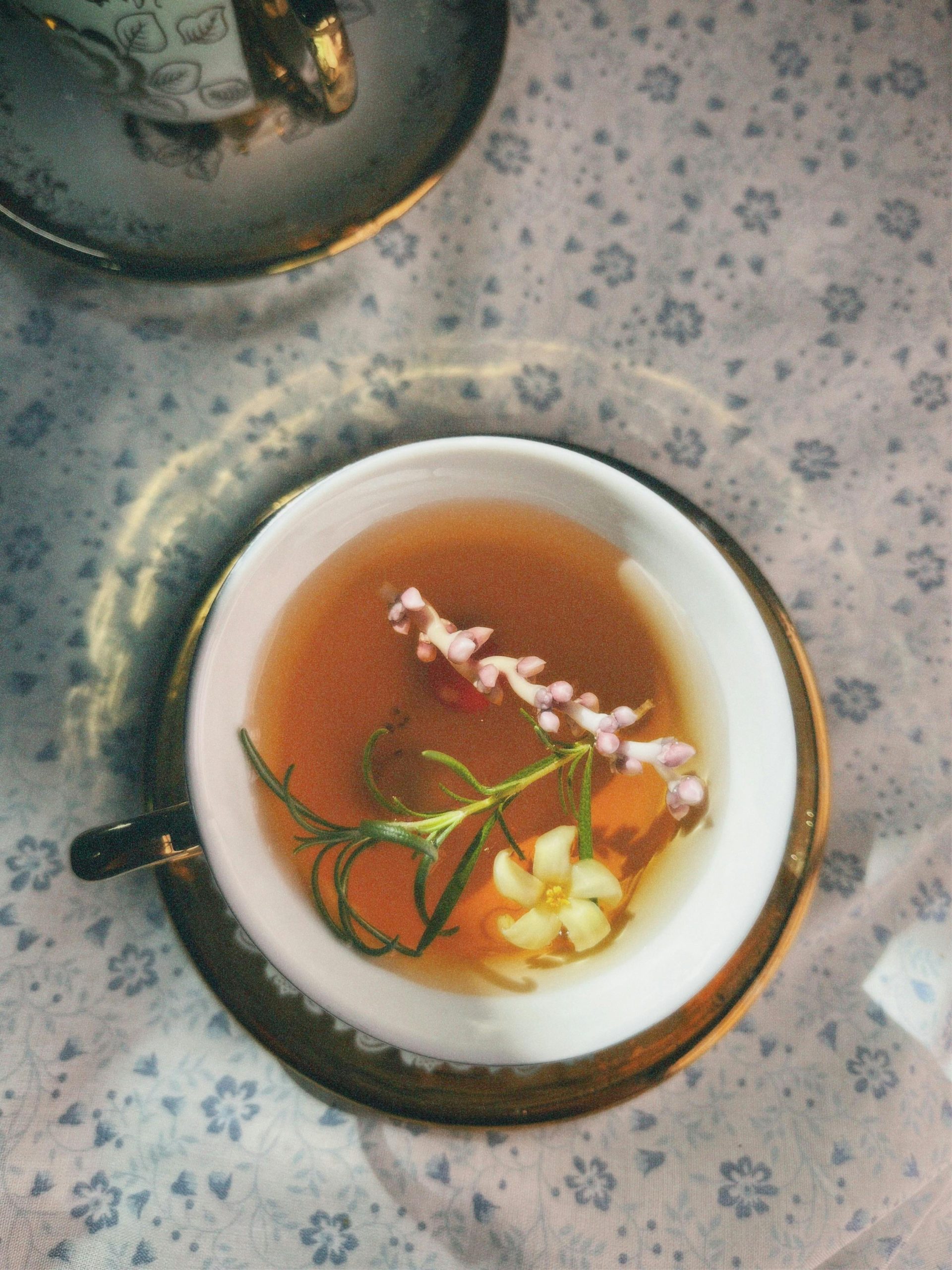 7 Powerful Benefits of Herbal Tea Du Foie