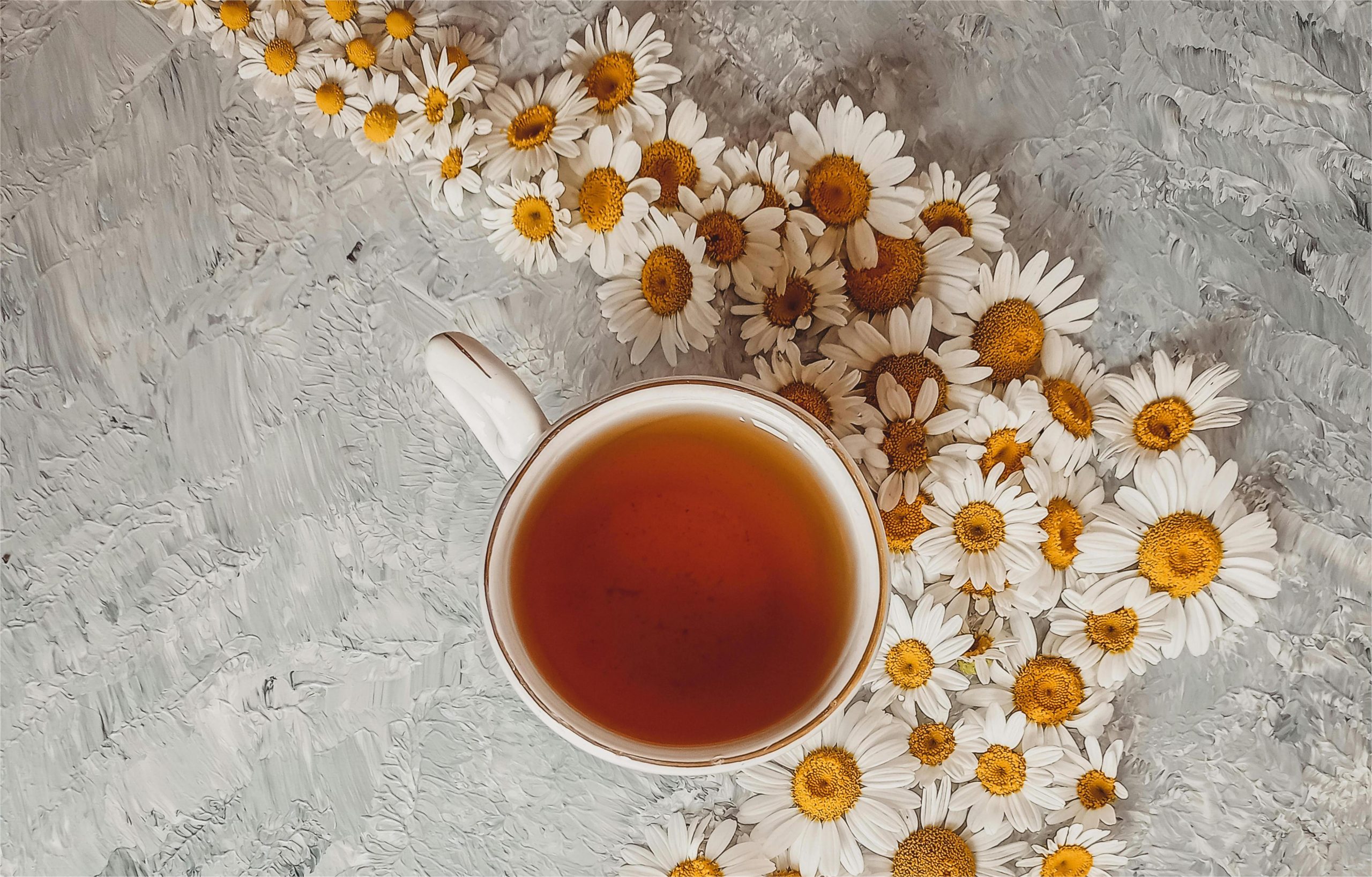 Proven Ways Chamomile Can Calm Chaos