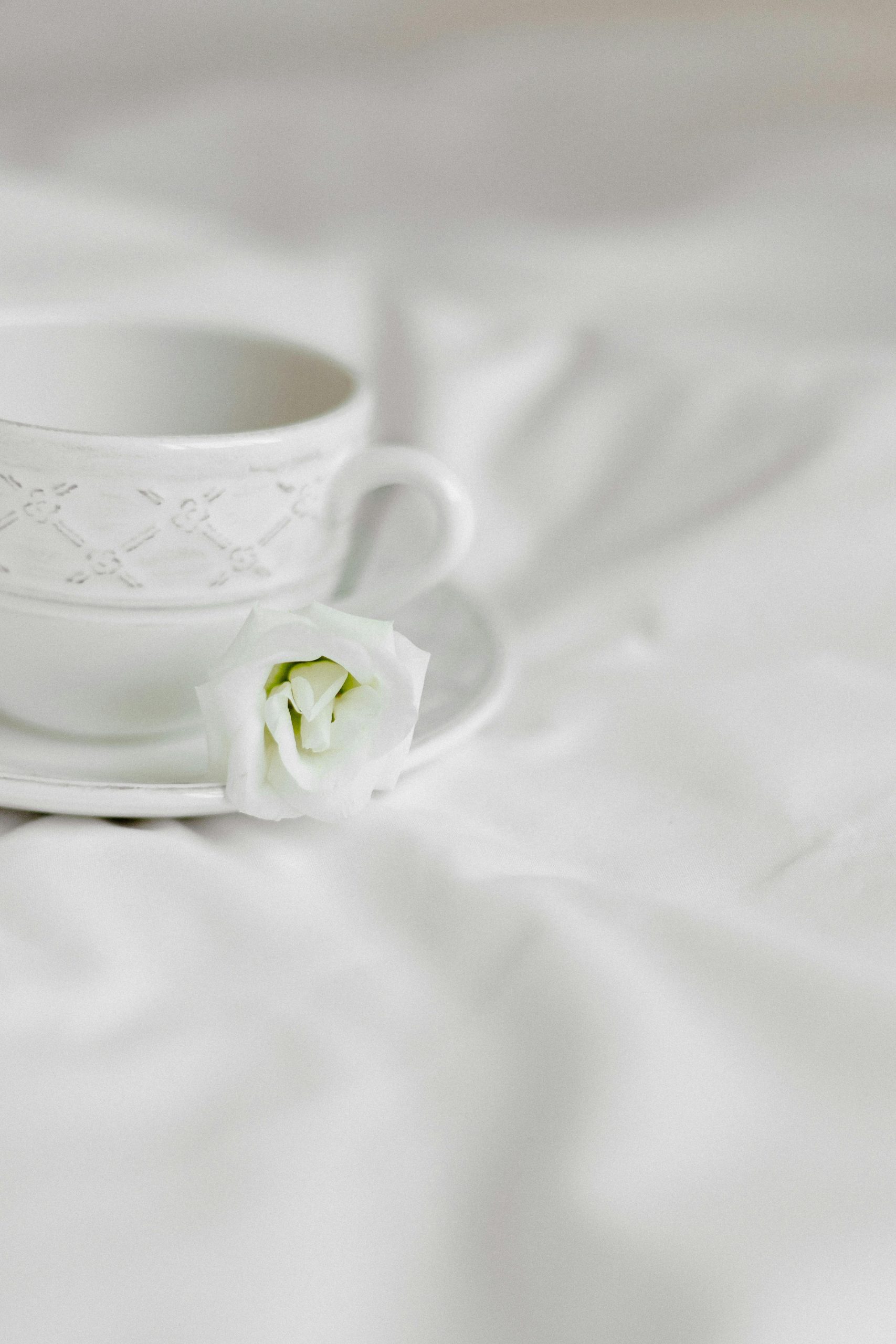 6 Powerful Wellness Trends for 2026