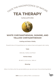 PREMIUM WHITE CHRYSANTHEMUM