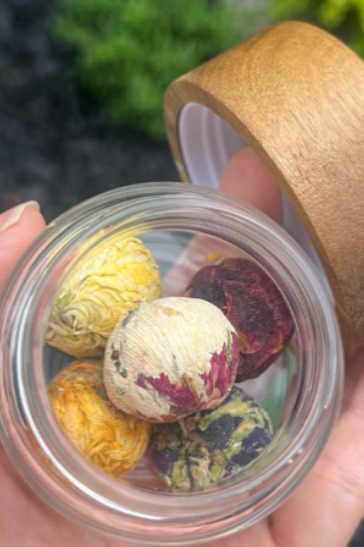 PHOTO WEBSITE BOTANICAL CHARM (6)