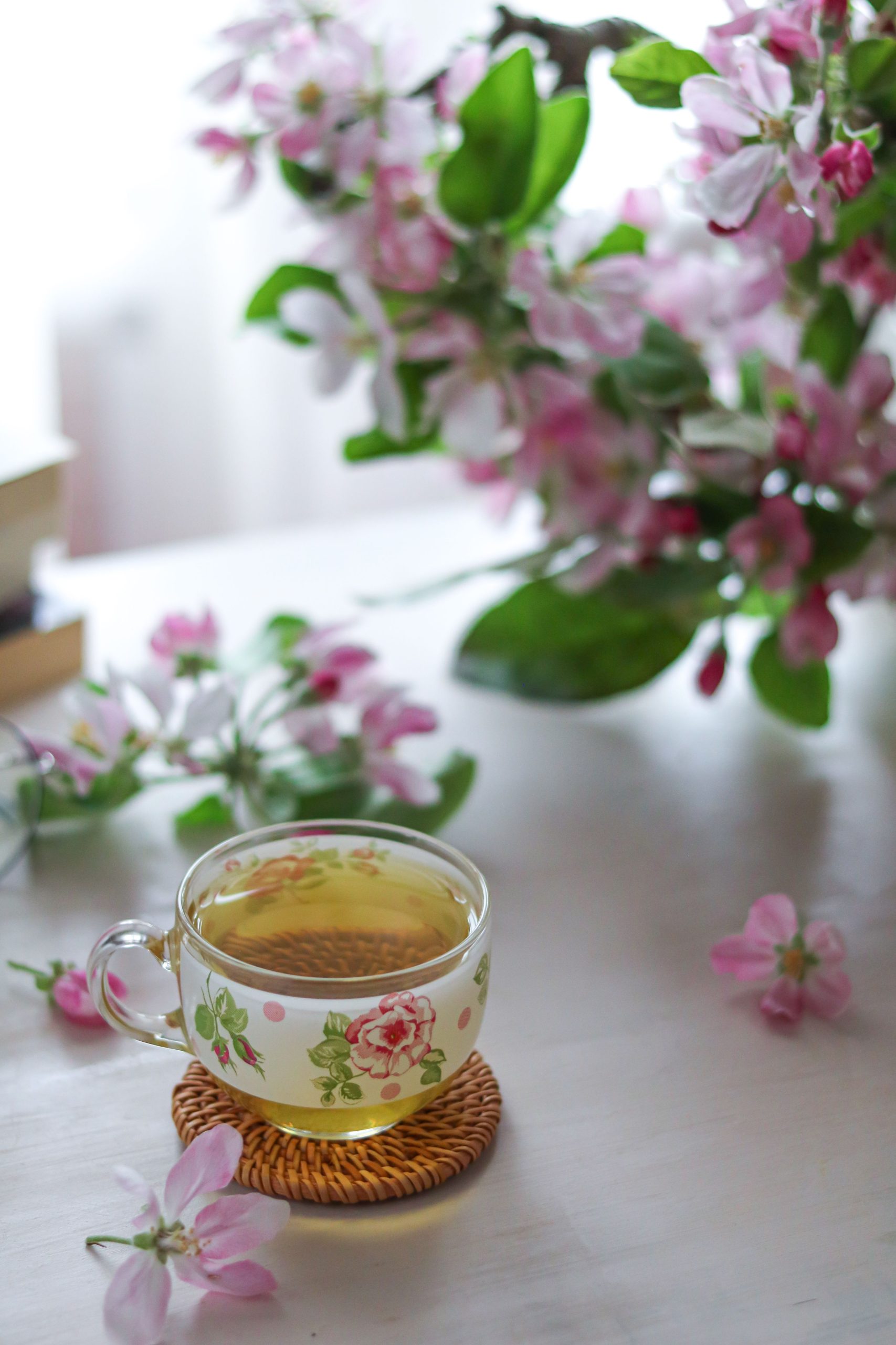How Premium Floral Tea Supports a Healthy Lifestyle
