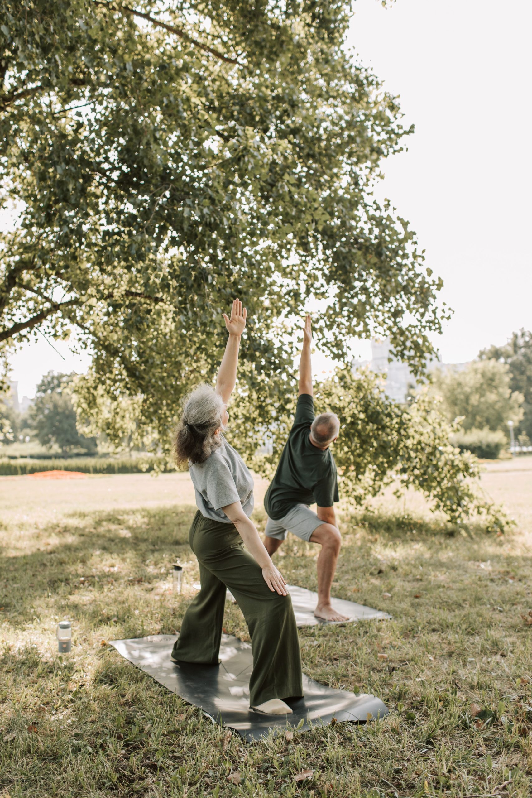 Healthy Ageing