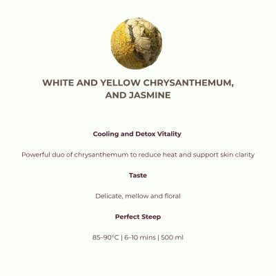 White and yellow chrysanthemum flowers with jasmine for floral tea