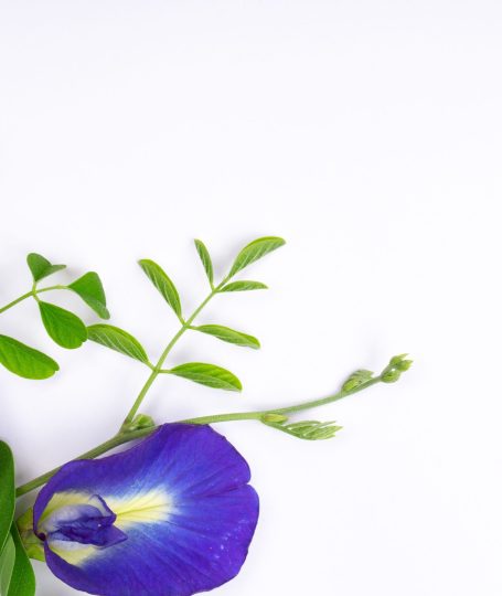 A Naturally Vibrant Tea