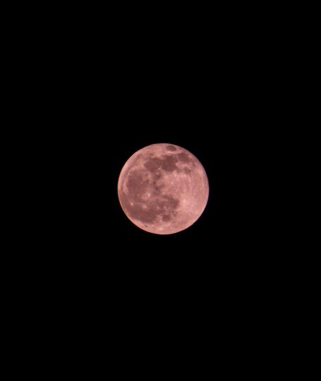 April’s Pink Full Moon