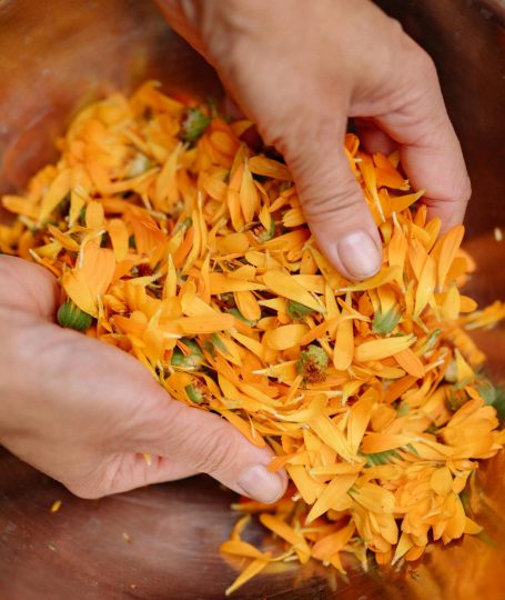 flora tea bomb workshop singapore